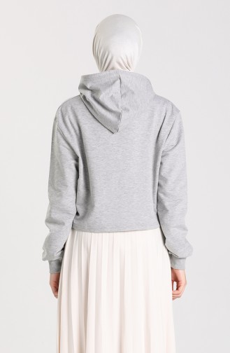 Gray Sweatshirt 29665-03