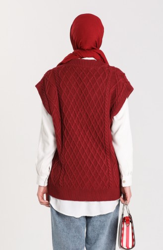 Claret red Sweater 4267-03