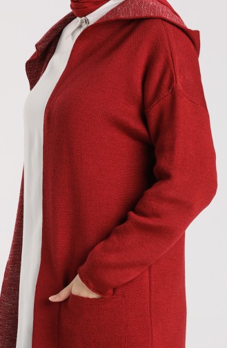 Knitwear Hooded Sweater 4241-03 Burgundy 4241-03