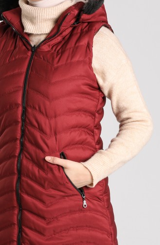 Claret red Gilet 1068-08