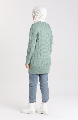 Unreife Mandelgrün Pullover 4270-05