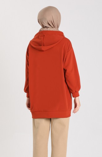 Sweatshirt Couleur brique 1141-01