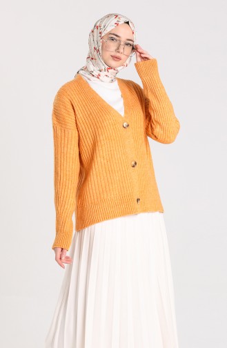 Ziegelrot Strickjacke 0593-06