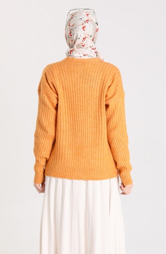 Ziegelrot Strickjacke 0593-06