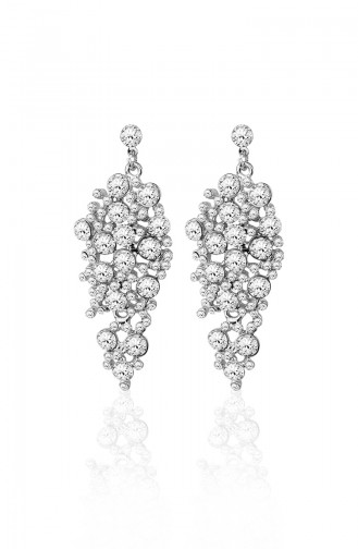 Silver Gray Earring 2012