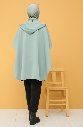 Ponchos Vert noisette 2011-01