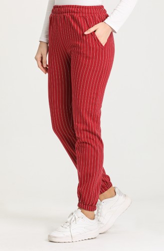 Claret red Broek 0309-02