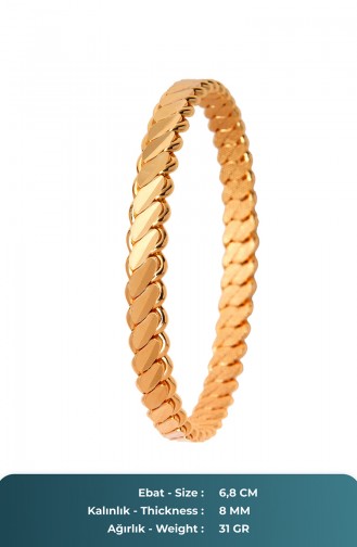 Golden Bracelet 25-60-101-13-20