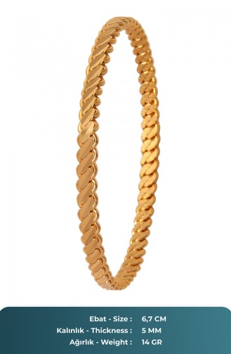 Gold Colour Bracelet 25-60-103-13-20