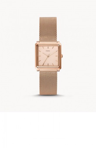 Rose Tan Wrist Watch 4569
