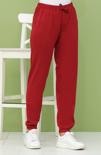 Claret Red Pants 2105-01