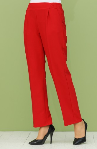 Claret Red Pants 5240PNT-01