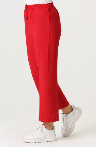 Claret Red Pants 0611-04