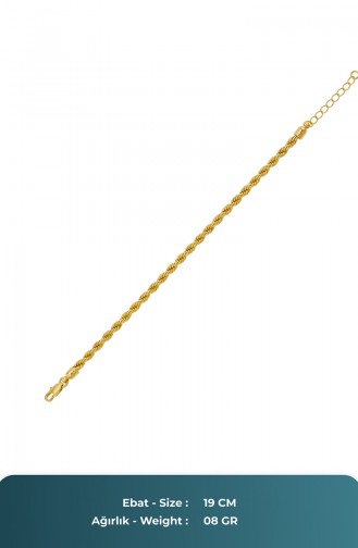 Gold Bracelet 21-111-13-44-20