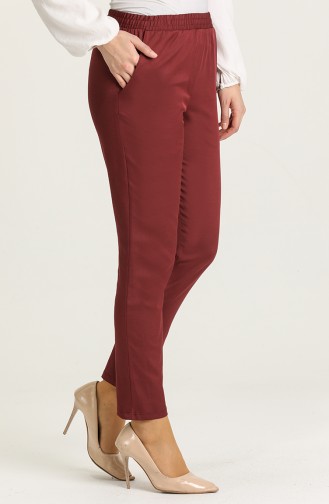 Pantalon Bordeaux Foncé 1013-04