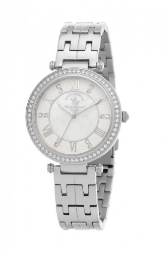 Silver Gray Horloge 1.10018.1