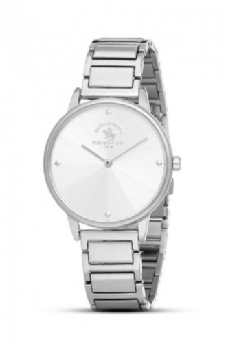 Silver Gray Wrist Watch 1.10025.1