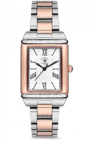 Silver Gray Horloge 1.10035.4