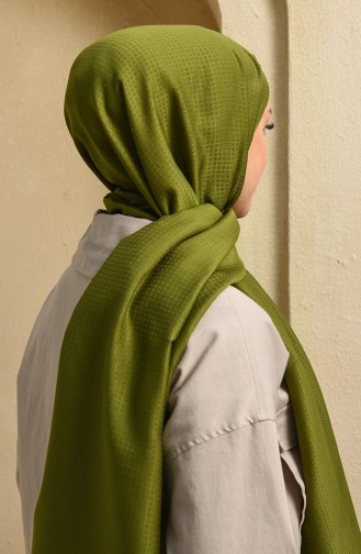 Pistachio Green Shawl 15259-15