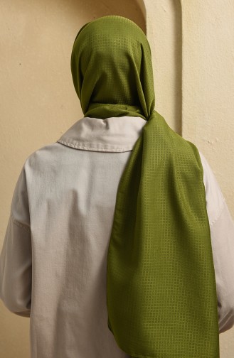 Pistachio Green Shawl 15259-15