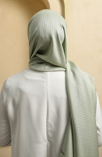 Green Almond Shawl 15260-08