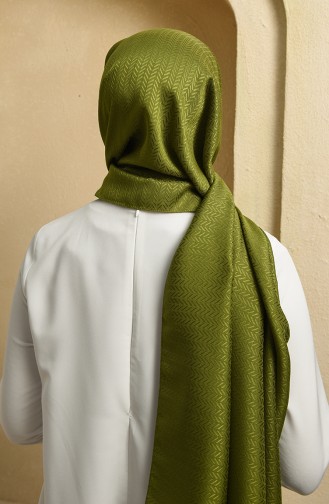 Pistachio Green Shawl 15260-15