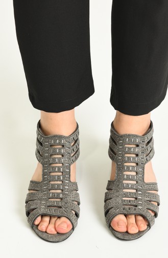 Chaussures a Talons Gris 5-10-08