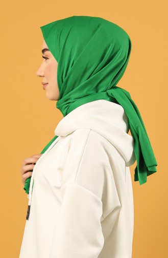 Grass Green Shawl 5151-01