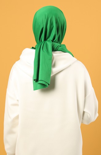 Grass Green Shawl 5151-01