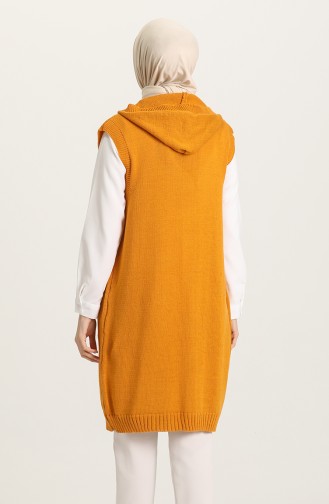 Mustard Waistcoats 0626-06