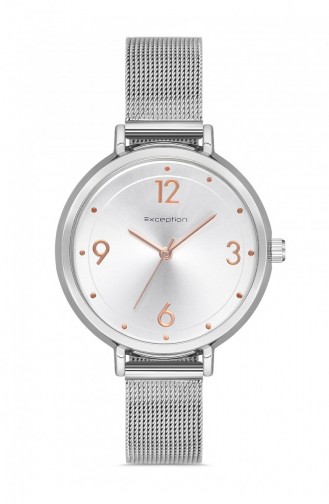 Silver Gray Wrist Watch 8902712039816