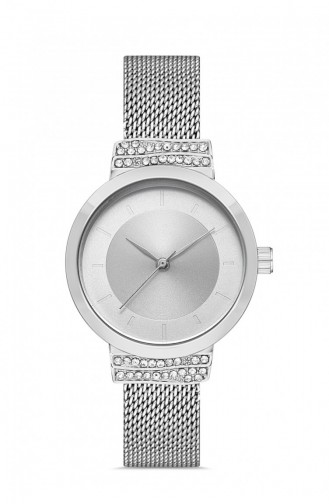 Silver Gray Wrist Watch 8902712043233