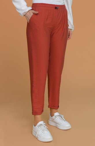 Pantalon Couleur brique 2037-04