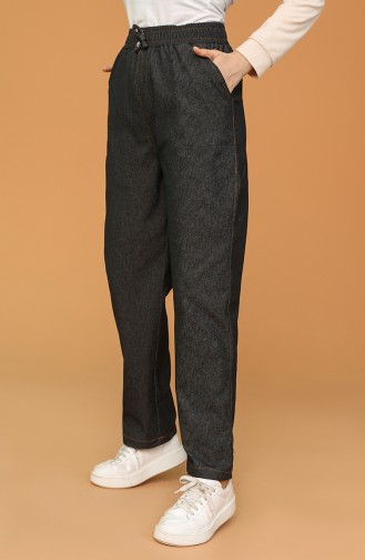 Smoke-Colored Pants 3501B-02