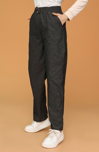 Pantalon Fumé 3501B-02