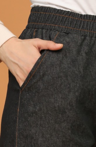 Pantalon Fumé 3501B-02