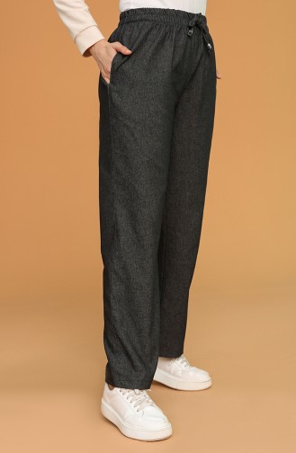 Pantalon Fumé 3503-06