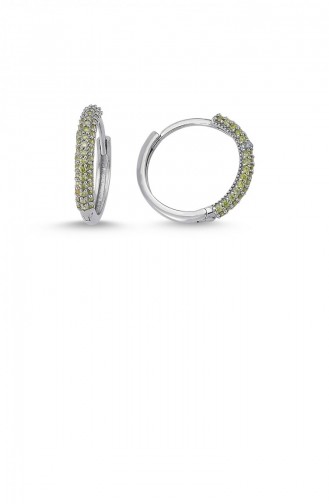 Boucle D`oreille Gris argenté 0001