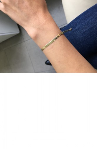 Gümüş İtalyan Zincir Bileklik Altın Standart Blzb001 2900