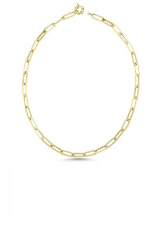 Gold Colour Necklace 51