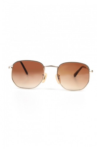 Lunettes de Soleil Couleur Brun 8902712041260