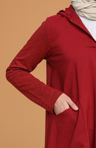 Claret Red Hijab Dress 3281-07