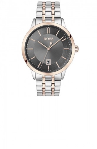 Silver Gray Wrist Watch 1513688