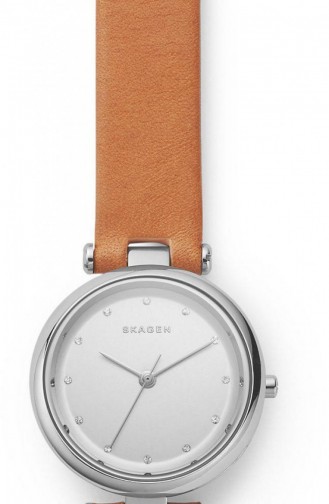 Braun Uhren 2455
