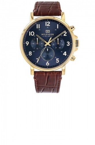 Brown Wrist Watch 1710380