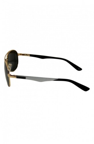 Lunettes de Soleil  01.D-01.00452