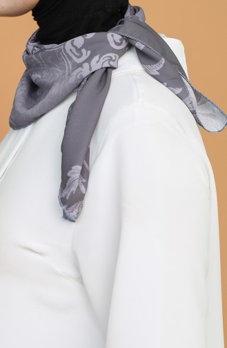 Smoke-Colored Foulard 62015-01