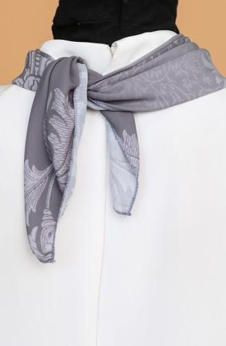 Smoke-Colored Foulard 62015-01