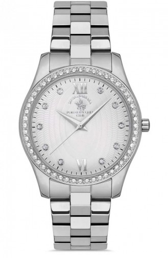 Silver Gray Horloge 1.10129.1