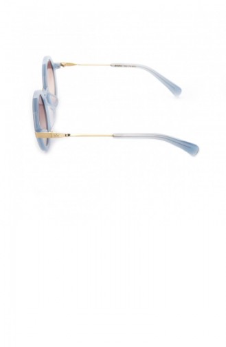 Am Eyewear A M Steph 100 Pb Brg Güneş Gözlüğü
